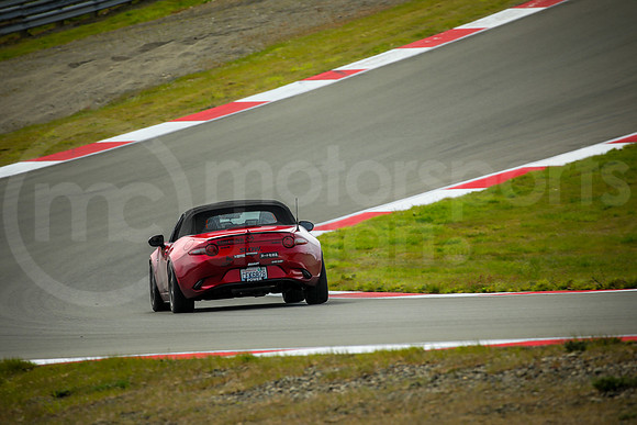 RNDM_SCCA_MCMD_2024_0424-5