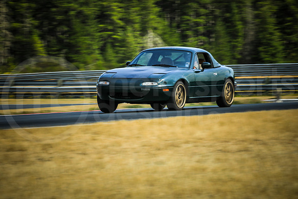GNAM_Turn2_MCMD_2024_0817-7
