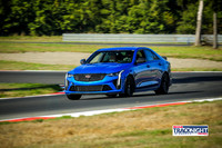 BCTV_SCCATNiA_MCMD_0924_2025_w-1