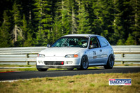 714W_SCCATNiA_MCMD_0924_2025_w-1