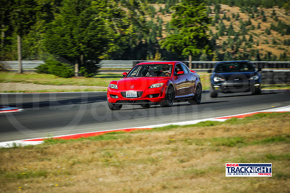 RRX8_SCCATNiA_MCMD_0924_2025_w-1