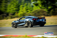 BC8C_SCCATNiA_MCMD_0924_2025_w-1