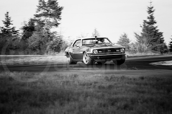B68C_SCCATNiA_MCMD_0924_2025-8