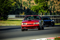13SV_SCCATNiA_MCMD_0924_2025-1
