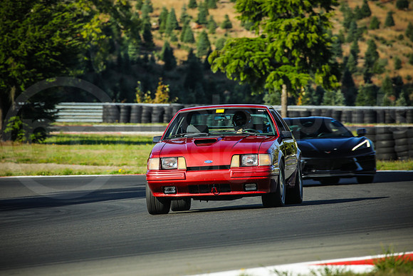 13SV_SCCATNiA_MCMD_0924_2025-1