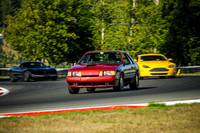 13SV_SCCATNiA_MCMD_0924_2025-2