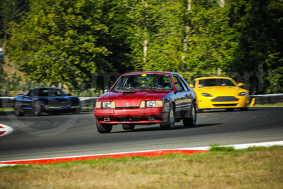 13SV_SCCATNiA_MCMD_0924_2025-2