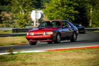 13SV_SCCATNiA_MCMD_0924_2025-3