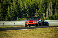 13SV_SCCATNiA_MCMD_0924_2025-7
