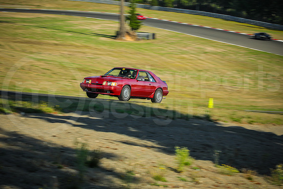 13SV_SCCATNiA_MCMD_0924_2025-5