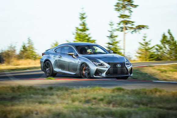 GLBS_SCCATNiA_MCMD_0924_2025-9