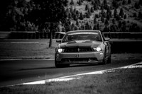 21RM_Turn2_MCMD_2025_1003-6