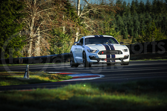 WSG3_Turn2_MCMD_2026_0117-7