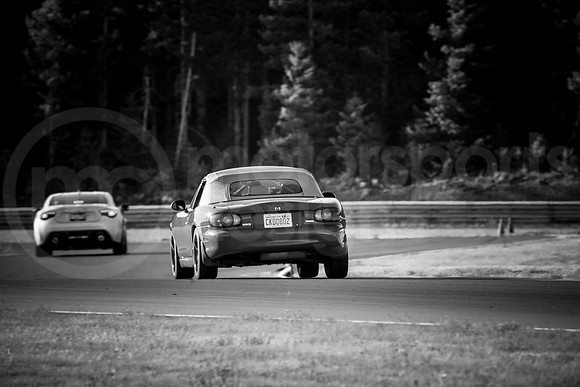 RNAT_SCCATNiA_MCMD_2025_0813-4