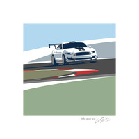 ShelbyGT350_White_20PF