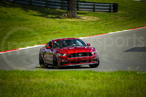 315M_HOD_MCMD_2024_0517-6