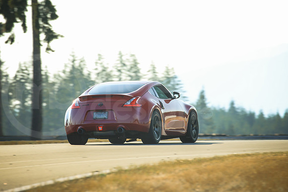 R37Z_SCCATNiA_MCMD_2024_0807-2
