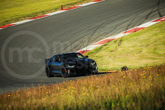 BCZL_Turn2_MCMD_2026_0613-1