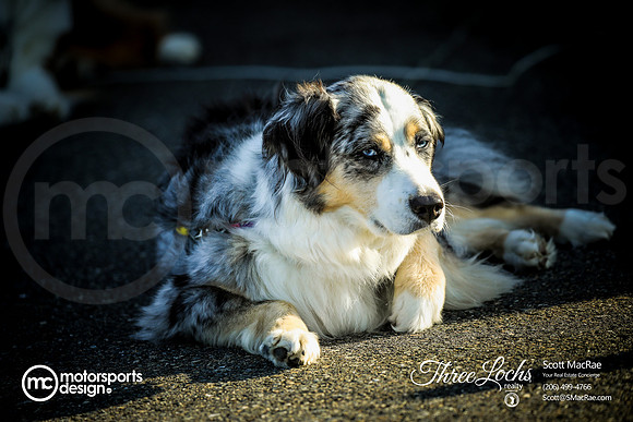 PPLX_ACNW_MCMD_2025_0809_w-21