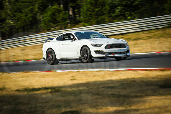 WSG3_Turn2_MCMD_2026_0821-1