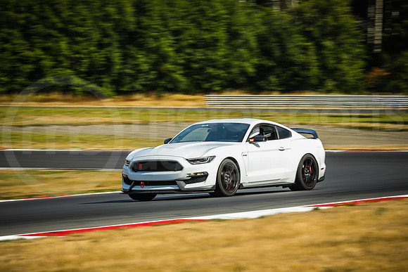 WSG3_Turn2_MCMD_2026_0821-2
