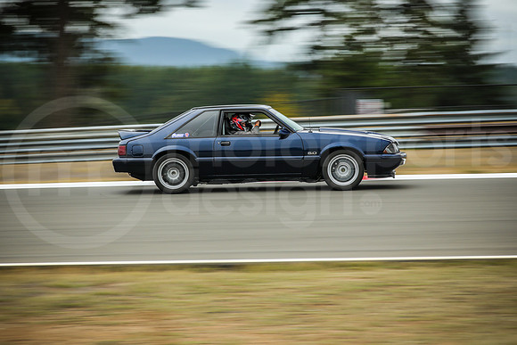 BFBM_Turn2_MCMD_2026_0919-11