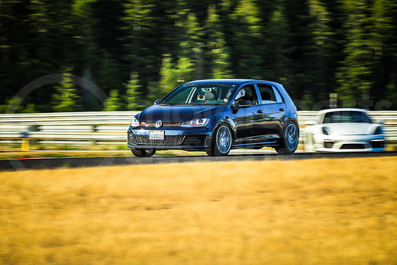 BVWG_SCCATNiA_MCMD_2024_0717-6