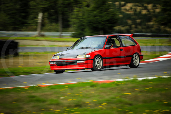 RHCH_SCCATNiA_MCMD_2024_0926-1