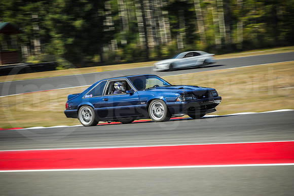 BFBM_Turn2_MCMD_2026_0919-12