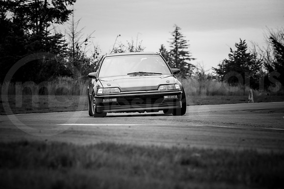 RHCH_SCCATNiA_MCMD_2024_0926-4