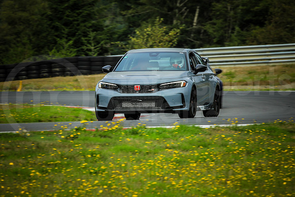 GCTR_SCCATNiA_MCMD_2024_0926-1