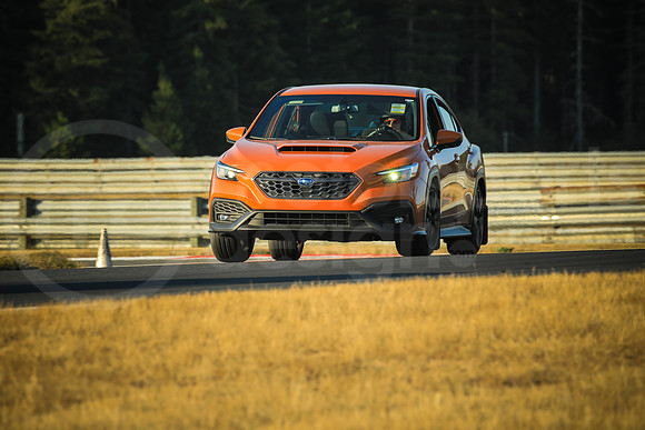 OWRX_SCCATNiA_MCMD_2024_0807-1