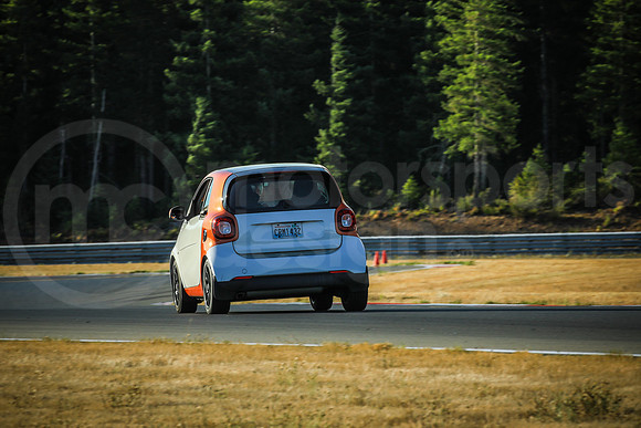 WS42_SCCATNiA_MCMD_2025_0813-2