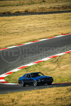 BFBM_Turn2_MCMD_2025_0713-1