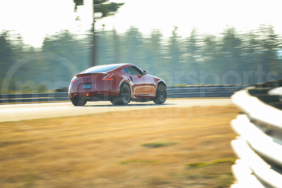 R37Z_SCCATNiA_MCMD_2024_0807-4