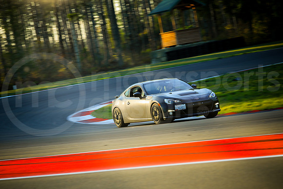 GBRZ_SCCATNiA_MCMD_2023_1018-1