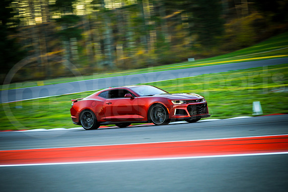 RCZ1_SCCATNiA_MCMD_2023_1018-9