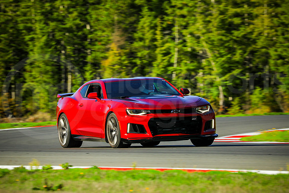 RCZ1_SCCATNiA_MCMD_2023_1018-1