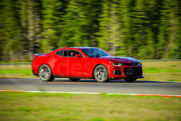 RCZ1_SCCATNiA_MCMD_2023_1018-2