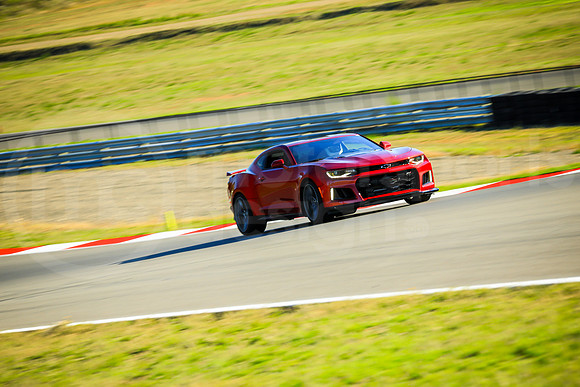RCZ1_SCCATNiA_MCMD_2023_1018-3