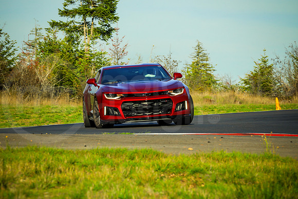 RCZ1_SCCATNiA_MCMD_2023_1018-4