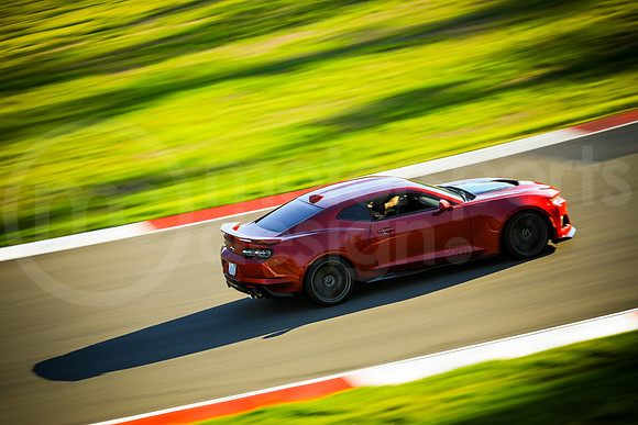RCZ1_SCCATNiA_MCMD_2023_1018-6