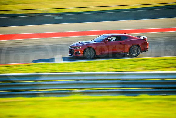 RCZ1_SCCATNiA_MCMD_2023_1018-8