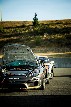 PPLX_ACNW_MCMD_2025_0809-18