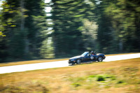 3BZ3_ACNW_MCMD_2025_0809-3