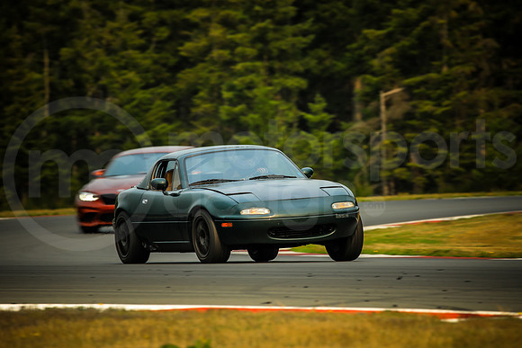 GNDM_Turn2_MCMD_2024_0907-4