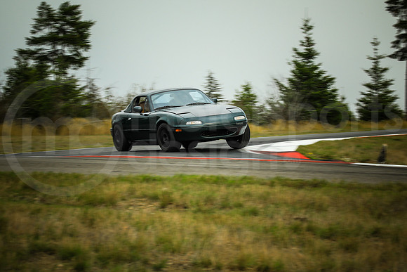 GNDM_Turn2_MCMD_2024_0907-8