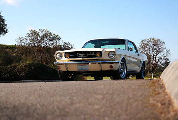 Joki_Front_Low