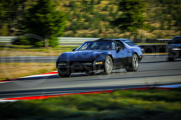 BZR1_Turn2_MCMD_2024_0316-2