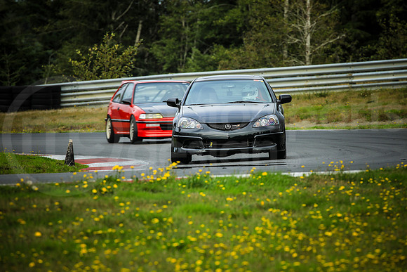 BARS_SCCATNiA_MCMD_2024_0926-1